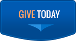 Give today button