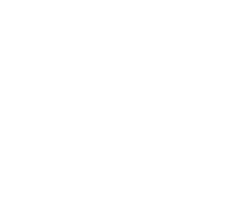 raised hands icon