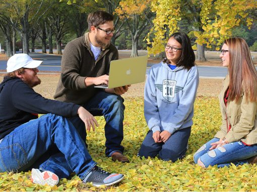 Students sitting outside on the grass.