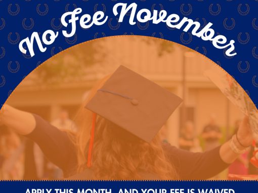 No Fee November