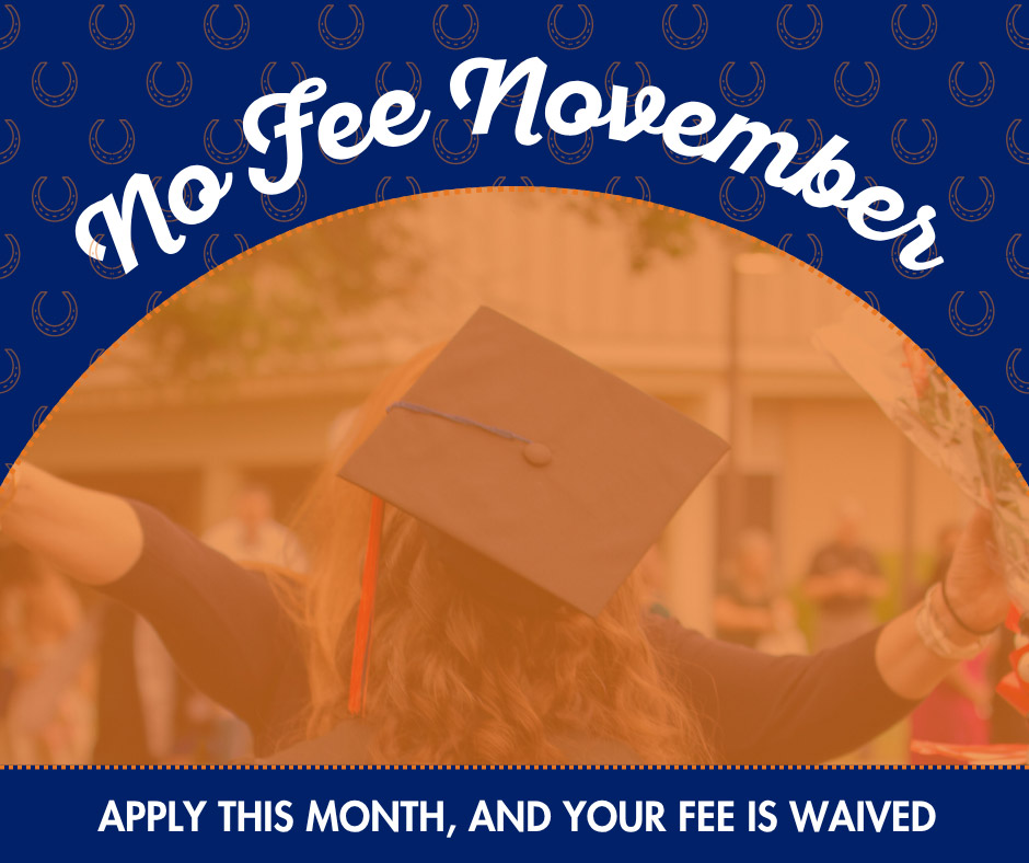 No Fee November