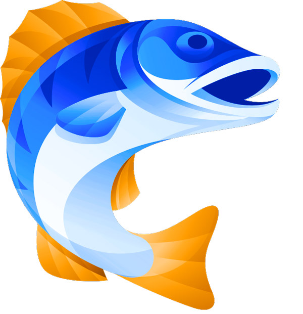 a blue and orange fish